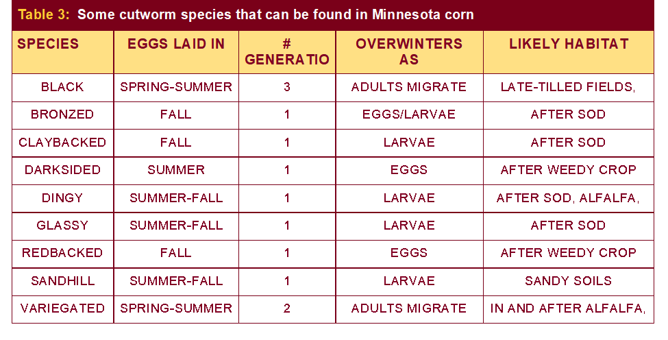 Table 3. cutworm found in MN