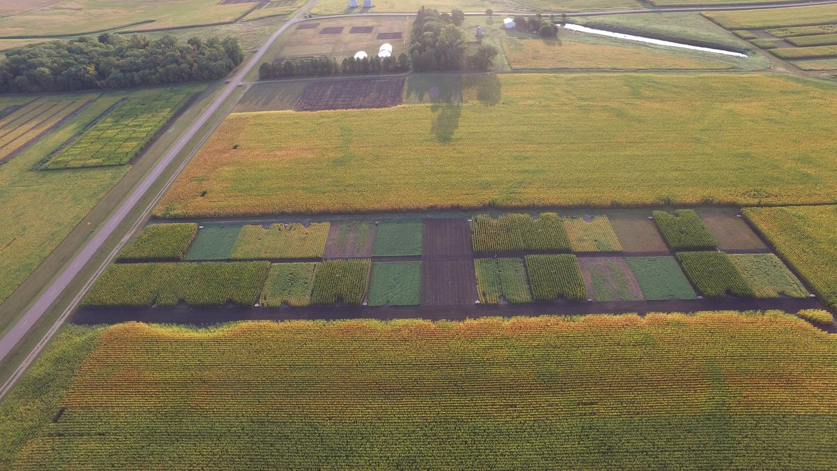An aerial photo showing Jeff Strock's tillage study.