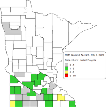 A map of the state of Minnesota  showing BCW moth captures